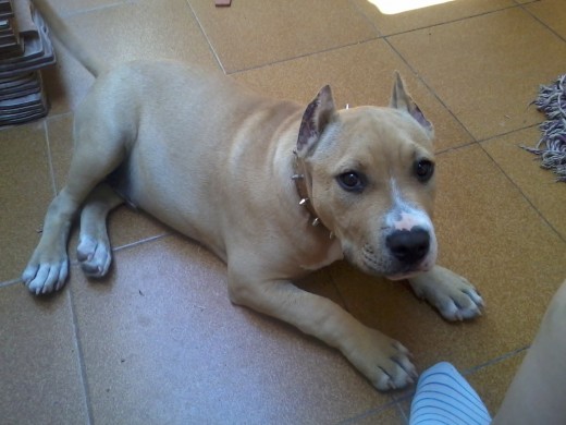 Descansando